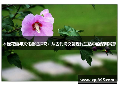 木槿花语与文化象征探究:从古代诗文到现代生活中的深刻寓意