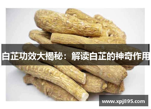 白芷功效大揭秘:解读白芷的神奇作用