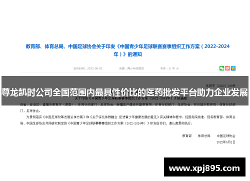 尊龙凯时公司全国范围内最具性价比的医药批发平台助力企业发展